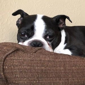 Meet your Posher, Allison